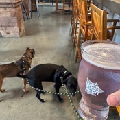 Photo submitted by Hunter