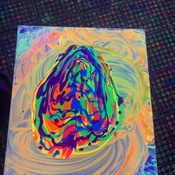 Photo submitted by Melissa