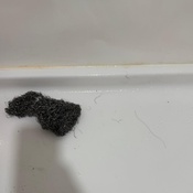 Photo submitted by Heather