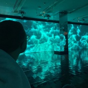 Photo submitted by Lisa