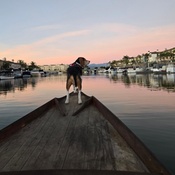 Photo submitted by Young