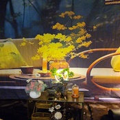 Photo submitted by viri