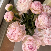 Photo submitted by Victoria