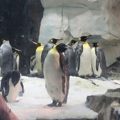 Photo submitted by Tonya