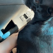 Photo submitted by Amanda