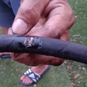 Photo submitted by Paula