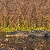 Photo submitted by michael