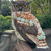 Photo submitted by Niesha