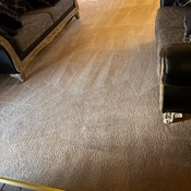 Photo submitted by Tanesha