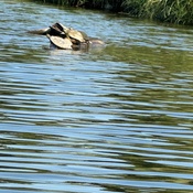 Photo submitted by Mary