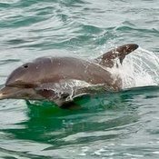 Photo submitted by Megan