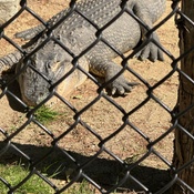 Photo submitted by Janet