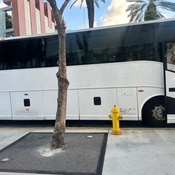 Photo submitted by Regina