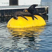 Photo submitted by Tylene