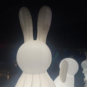 Photo submitted by Guest