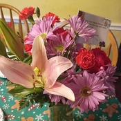 Photo submitted by Eva