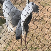 Photo submitted by Kat