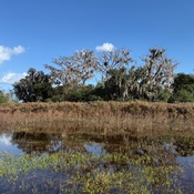 Photo submitted by Dolores