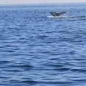 Photo submitted by Emanuel