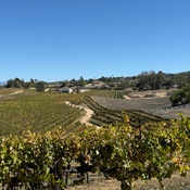 Photo submitted by Rich