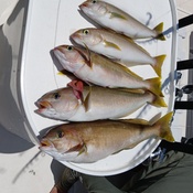 Photo submitted by Guest