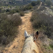 Photo submitted by Kristina