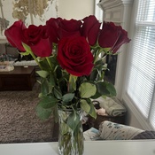 Photo submitted by Anna