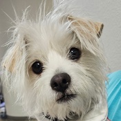 Photo submitted by olga