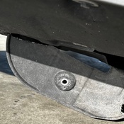 Photo submitted by Eleanor