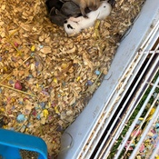 Photo submitted by Vania