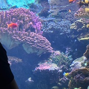 Photo submitted by Guest