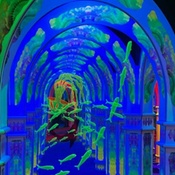 Photo submitted by Pamela