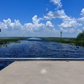 Photo submitted by Victoria