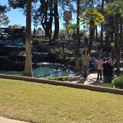 Photo submitted by Sekeda