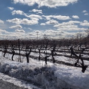 Photo submitted by Silaidiv