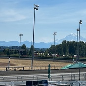 Photo submitted by Alicia