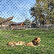 Photo submitted by Marie