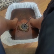 Photo submitted by Tony