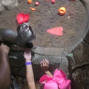 Photo submitted by Dana