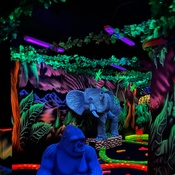 Photo submitted by Matt