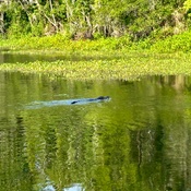 Photo submitted by Gini