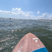 Photo submitted by tina