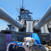 Photo submitted by Phillip