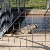 Photo submitted by Mz.