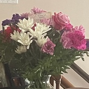 Photo submitted by Bonnie-Lynn