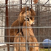 Photo submitted by Erin