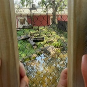 Photo submitted by Alexis