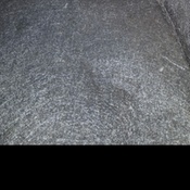 Photo submitted by Travis