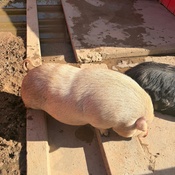 Photo submitted by Julisa