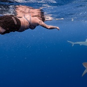 Photo submitted by Courtney